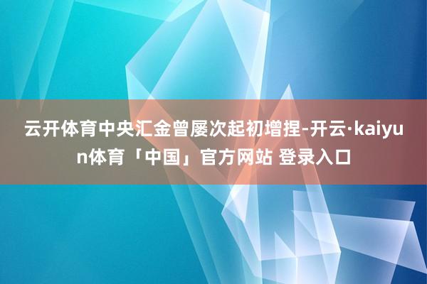 云开体育中央汇金曾屡次起初增捏-开云·kaiyun体育「中国」官方网站 登录入口