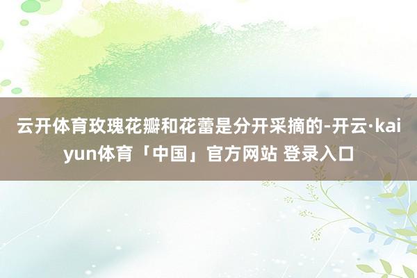 云开体育玫瑰花瓣和花蕾是分开采摘的-开云·kaiyun体育「中国」官方网站 登录入口